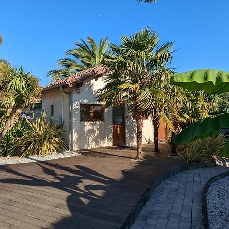 Guest House Au Milieu Des Palmiers Saint-Martin-de-Seignanx Zewnętrze zdjęcie