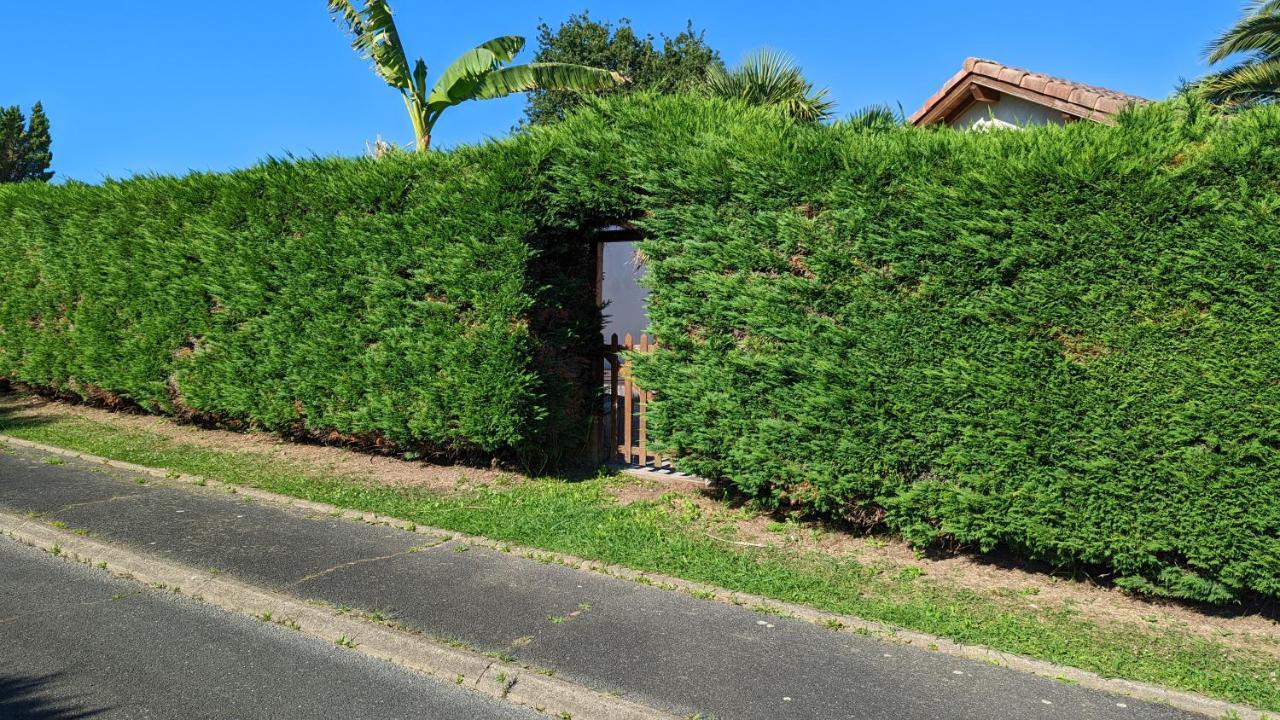 Guest House Au Milieu Des Palmiers Saint-Martin-de-Seignanx Zewnętrze zdjęcie